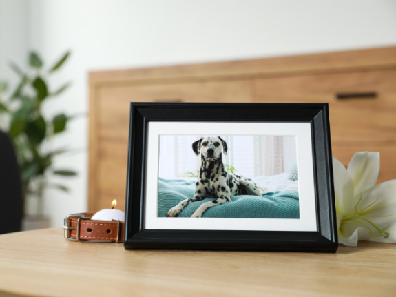 Pet Portraits by Professional Artists Brand – No Inventory Requirement – Giftable Brand of Custom Products – 25% Repeat Order Rate – Strong Instagram & TikTok Following