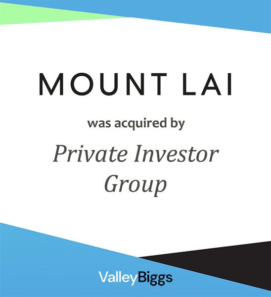 Mount Lai facial tools